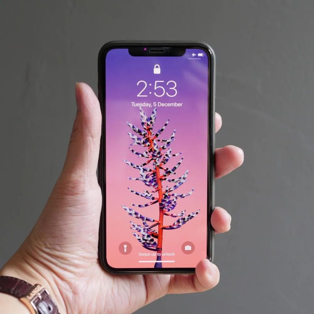 Bare Pane - for iPhone 11 Pro / 11 Pro Max