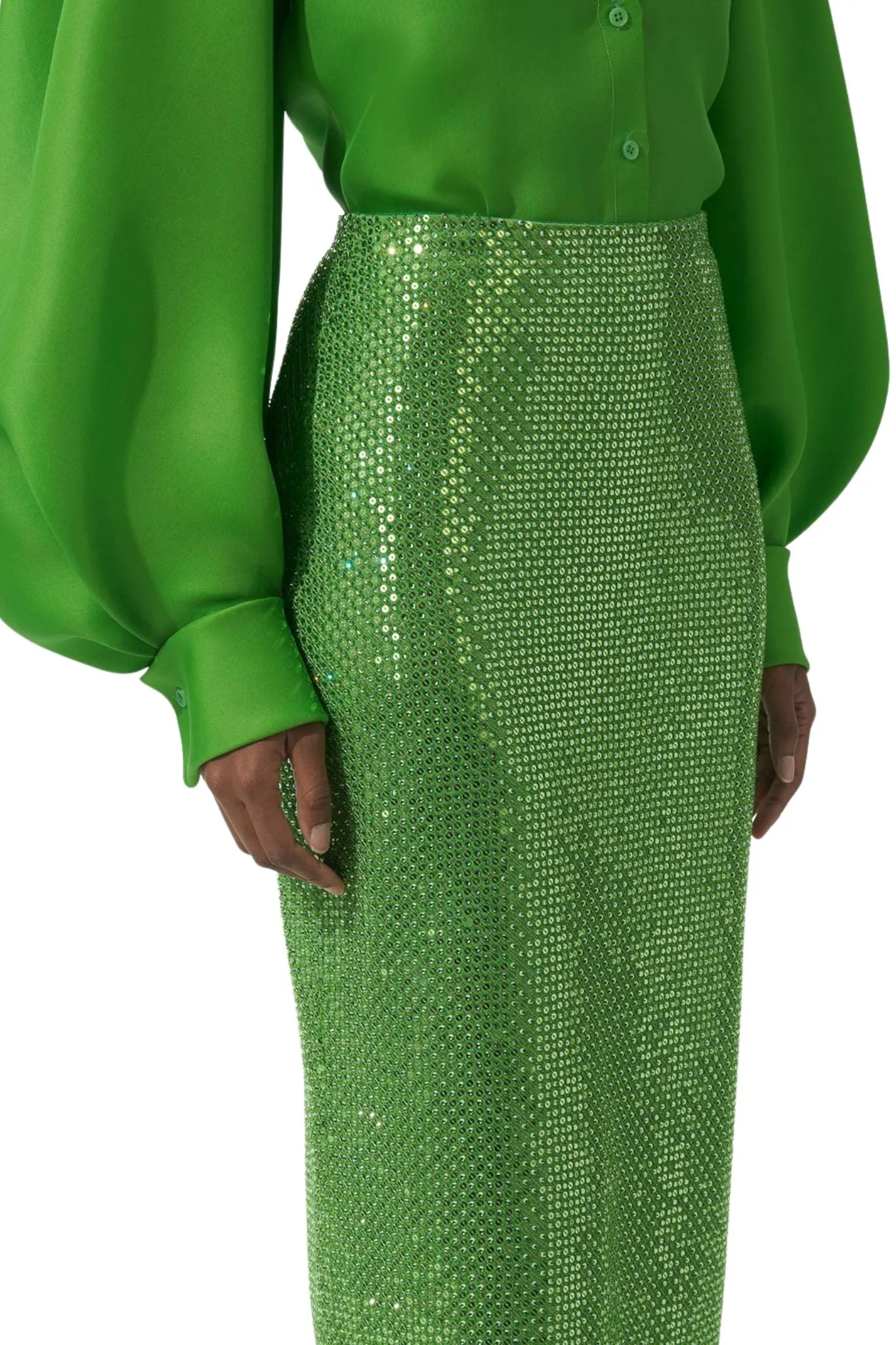 Carolina Herrera Embroidered Midi Skirt