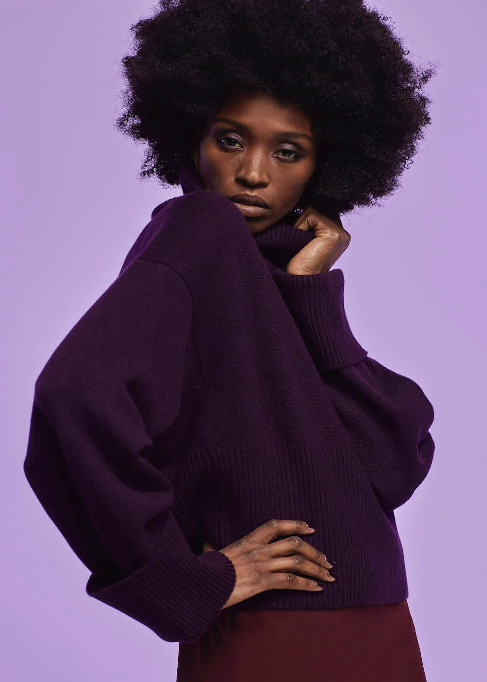 CROPPED CASHMERE TURTLENECK SWEATER "ALINETTA"